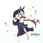  :d absurdres animal_ears arm_strap barefoot black_hair black_skirt blue_background breasts eyebrows_visible_through_hair floating_hair fox_ears fox_tail full_body hair_between_eyes highres hpb8642 long_hair long_skirt mabinogi midriff navel open_mouth orange_eyes outstretched_arms petals see-through simple_background skirt small_breasts smile solo standing stomach tail tied_skirt underboob very_long_hair 