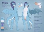  2018 4_toes anthro balls blue_eyes blue_hair butt claws digital_media_(artwork) dragon english_text forked_tongue hair hi_res humanoid_penis looking_at_viewer male membranous_wings model_sheet multicolored_hair nude penis precum skipsy skipsy_dragon_(character) solo text toe_claws toes tongue tongue_out two_tone_hair uncut wings 