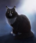  2018 black_fur cat digital_media_(artwork) feline feral fur mammal paws simple_background sitting solo turnipberry whiskers yellow_eyes 