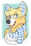  2016 animate_inanimate anthro black_nose blonde_hair blue_eyes blue_pupils canine corgi corgwn cute digital_drawing_(artwork) digital_media_(artwork) dog fur hair hi_res jayboppity living_plush male mammal plushie scarf simple_background smile solo white_fur yellow_fur 