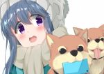  animal bangs beanie blue_hair blurry blurry_foreground blush cacao_(chocolat) cellphone commentary_request depth_of_field dog eyebrows_visible_through_hair grey_scarf hair_between_eyes hat head_tilt highres long_hair mouth_hold open_mouth phone purple_eyes scarf shiba_inu shima_rin simple_background smartphone solo tongue tongue_out upper_teeth white_background white_hat yurucamp 