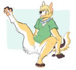  2016 4_toes 5_fingers anthro blonde_hair blue_collar blue_eyes blue_pupils bottomless brown_fur canine clothed clothing collar corgwn digital_drawing_(artwork) digital_media_(artwork) dog featureless_crotch fur german_shepherd green_clothing green_shirt green_topwear hair hindpaw jayboppity male mammal markings multicolored_fur open_mouth pawpads paws raised_leg shirt simple_background smile solo teeth toes white_fur yellow_fur 
