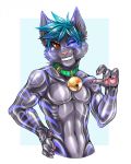  2017 4_fingers anthro bell black_fur blue_fur blue_hair cat claws collar digital_drawing_(artwork) digital_media_(artwork) feline fur green_collar hair hi_res iceblizzard looking_at_viewer male mammal markings multicolored_fur nude one_eye_closed orange_eyes pawpads paws pink_pawpads sige simple_background smile solo stripes teeth two_tone_fur wink 