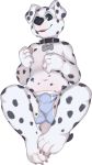  anthro bulge canine clothing collar dog male mammal seth-iova solo underwear 