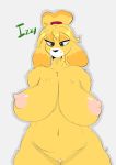  animal_crossing anthro big_breasts blonde_hair breasts canine chasm-006 female fur hair huge_breasts isabelle_(animal_crossing) mammal nintendo nipples nude pussy slightly_chubby smile solo standing video_games 