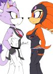  akatsukishiranui-fox anthro big_breasts blaze_the_cat bra breasts cat clothed clothing echidna feline fur mammal monotreme panties purple_eyes purple_fur shade_the_echidna sonic_(series) underwear yellow_eyes 