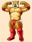  boots bulge canine clothed clothing dog flexing footwear kenta_shiba_(character) male mammal muscular muscular_male navel nipples shiba-kenta shiba_inu smile solo teeth topless wrestling_briefs 