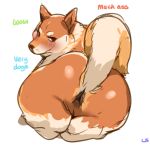  2018 anus big_butt blush brown_eyes brown_fur brown_nose butt canine digital_media_(artwork) dog doge english_text feral fur lightsource looking_at_viewer looking_back lying male mammal meme multicolored_fur multicolored_tail raised_tail rear_view shiba_inu signature simple_background solo text two_tone_fur two_tone_tail white_background white_fur 