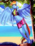  2018 absurd_res anthro anthrofied beach boy_shorts breasts clothed clothing digital_media_(artwork) equine eyelashes feathered_wings feathers feet female friendship_is_magic hair hi_res humanoid_feet invalid_tag mammal midriff multicolored_hair my_little_pony navel outside pegasus rainbow_dash_(mlp) rainbow_hair seaside smile solo swimsuit tight_clothing tree twistedscarlett60 underwear water wings 