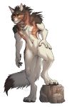  2018 5_fingers anthro black_nose brown_fur canine detailed_background digital_media_(artwork) digitigrade fur green_eyes kero_tzuki mammal navel rock simple_background smile standing white_background white_fur wolf 