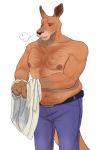  anthro belly_hair belt body_hair chest_hair clothing gator_(artist) happy_trail kangaroo male mammal marsupial musclegut muscular muscular_male pants slightly_chubby solo undressing 