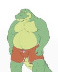  alligator anthro belly clothing crocodilian gator_(artist) male musclegut muscular muscular_male overweight overweight_male reptile scalie slightly_chubby solo swimming_trunks swimsuit 