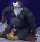 2016 anthro armpit_hair balls bed bed_sheet bedding belly big_dom_small_sub black_fur brown_fur canine chest_tuft claws digital_media_(artwork) dog duo erection eyes_closed fox fur gator_(artist) half-closed_eyes happy happy_sex larger_male licking male male/male mammal mike muscular navel nipples nude open_mouth oral orange_fur overweight penis penis_lick precum pubes romantic_couple sex sitting size_difference smaller_male tongue tongue_out tuft white_fur 