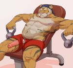  anthro big_penis erection exercise feline gator_(artist) male mammal mature_male muscular penis poking_out solo sweat tiger 