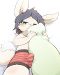  3sthrees anthro black_hair blush boxers_(clothing) bulge child clothing cub cute_fangs erection fur hair kemono lagomorph lying male mammal on_back pillow rabbit solo underwear white_fur young 