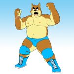  boots canine clothed clothing dog footwear gradient_background male mammal navel nipples overweight shiba-kenta shiba_inu simple_background stubble topless wrestling wrestling_briefs 