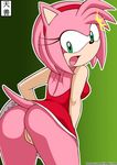  amy_rose sonic_team tagme tenzen 