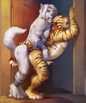  against_wall anal anal_penetration animal_genitalia animal_penis anthro arcticlion balls canine duo erection feline feline_penis karnal male male/male mammal muscular muscular_male open_mouth penetration penis precum pyro29 sex sheath standing tiger 