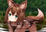  all_fours animal_ears bikini black_bikini brown_hair commentary_request forest fox_ears fox_girl fox_tail green_eyes highres nature original partially_submerged short_hair sukemyon swimsuit tail tree water wet wet_hair 