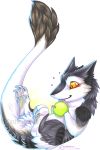  2012 absurd_res ambiguous_gender apple balthazar cute food fruit hi_res kashmere lying male mammal on_back sergal solo young 