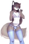  anthro bulge canine clothed clothing crossdressing garter_belt garter_straps girly legwear male mammal nipples solo standing suelix thigh_highs underwear wide_hips 