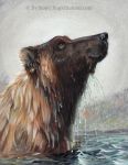  2008 ambiguous_gender bear black_nose brown_eyes brown_fur bust_portrait ear_piercing feral fur looking_up mammal multicolored_fur outside painting_(artwork) partially_submerged piercing portrait rog_minotaur side_view signature snout solo tan_fur traditional_media_(artwork) two_tone_fur water wet 