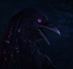  2018 ambiguous_gender avian beak bird black_beak black_feathers corvid digital_media_(artwork) dreadlocks feathers himeragoldtail purple_eyes raven 