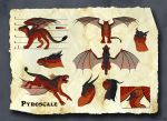 dragon feral male model_sheet pyroscale 