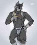  aetherel canine clothing gold_chain jockstrap looking_at_viewer male mammal repzzmonster simple_background solo underwear white_background wolf 