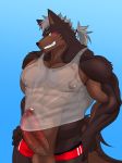  abs anthro balls biceps big_muscles big_penis blush canine circumcised clothed clothing digital_media_(artwork) erection fur grin hair hi_res huge_muscles humanoid_penis keijimohumohu long_hair looking_at_viewer male mammal mostly_nude muscular nipples partially_clothed pecs penis presenting scar shaded sharp_teeth shirt shorts smile solo standing tank_top teeth translucent transparent_clothing undressing vein veiny_penis 