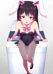  :d animal_ears bare_shoulders black_footwear black_hair bow bowtie bunny_ears bunnysuit detached_collar hair_ornament hairclip half-closed_eyes long_hair looking_at_viewer natsumi_akira nijisanji open_mouth pantyhose pink_bow pink_neckwear purple_eyes shoes sitting smile solo tsukino_mito virtual_youtuber washing_machine wrist_cuffs 