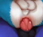  &lt;3 2018 anal anal_penetration anthro balls canine digital_media_(artwork) dog duo erection fox free-opium fur hi_res husky kimo love male male/male mammal nude penetration penis sex simple_background zannos 