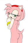  amy_rose furry_bomb sonic_team tagme 