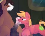  animal_genitalia animal_penis balls big_macintosh_(mlp) duo equine equine_penis erection feral friendship_is_magic horse licking male male/male mammal my_little_pony oral peachy-pudding penis penis_lick sex tongue tongue_out troubleshoes_(mlp) 