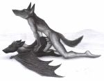  anal anthro balls bat canine erection jackal male male/male mammal penis vandringar wings 
