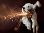  anatomy_error canine conditional_dnp dog fur mammal musical_instrument plantigrade playing_music playing_violin sparks tongue tongue_out trunchbull violin white_fur 