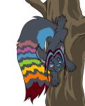  2017 alpha_channel black_fur blue_nose blue_tongue female feral flinters fluffy_bloodfang fur hair mammal open_mouth red_hair rodent simple_background solo squirrel transparent_background tree 