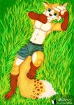  5_fingers blue_eyes brown_fur brown_nose canine clothing fur grass lying male mammal on_back sharparadise shorts solo tall_grass white_fur 