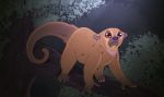  2018 5_fingers 5_toes ambiguous_gender blue_nose branch brown_eyes brown_fur brown_tail claws curled_tail dark_theme digital_drawing_(artwork) digital_media_(artwork) feral front_view full-length_portrait fur hi_res kinkajou lighting long_tail maizey mammal multicolored_fur no_sclera nude on_branch on_tree portrait procyonid quadruped shadow smile soft_focus solo standing tan_fur toe_claws toes toony tree whiskers white_claws white_fur 