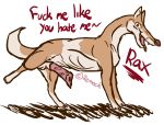  canine dog horny_(disambiguation) mammal penis rax remock 