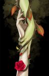  batman_(series) black_nails dc_comics flower green_skin hands harley_quinn highres leaf multiple_girls nail_polish pale_skin plant plant_girl poison_ivy red_nails rose scar stjepan_sejic thorns vines yuri 