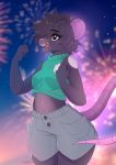  2018 anthro breasts clothed clothing detailed_background digital_media_(artwork) eyebrows female mammal midriff mouse navel nitricacid open_mouth rodent solo teeth tongue 
