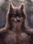  2018 akineza anthro blue_eyes canine forest male mammal rakan scar tree were werewolf 