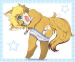  4_fingers balls blonde_hair blue_eyes briefs butt canine clothing cub dog_tags flaccid foreskin fox fur hair humanoid_penis looking_at_viewer male mammal neck_wear open_mouth orange_fur penis perineum ruugiaruu simple_background solo uncut underwear undressing young 