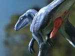  animal_genitalia anus dinosaur feral genital_slit knot male penis raptor slit theropod witchfang 