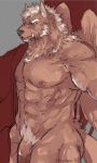  abs big_penis canine clothing demon flaccid kemono male mammal marchosias muscular muscular_male nipples orenjimaru pecs penis robe scar tokyo_afterschool_summoners undressing wings wolf 