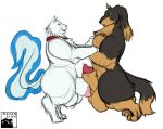  anthro anthro_on_anthro bakeneko balls big_balls big_muscles big_sheath canine chiranosuke collar dachshund dog duo frottage male male/male mammal muscular muscular_male sex signature xatanlion 