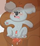  anal anal_penetration balls bear cartoon_network duo grizzly_(wbb) grizzly_bear koala male male/male mammal marsupial nom_nom_(character) penetration penis therita3k we_bare_bears 