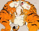  abdominal_bulge anal anal_penetration anthro balls danandnite duo feline hyper hyper_muscles male male/male mammal muscular nolan_(nolan) penetration penis ridiculous_fit size_difference tiger 