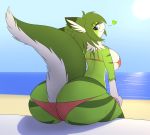  anthro beach big_breasts big_butt big_tail bikini breasts butt clothing dragon female floof fur huge_breasts mazzlerazz seaside summer swimsuit thick_thighs wide_hips 